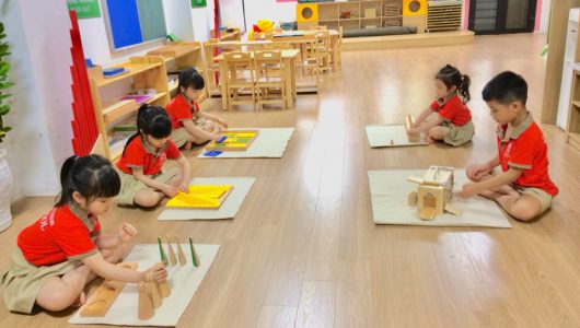 Vì sao chọn phương pháp Montessori?